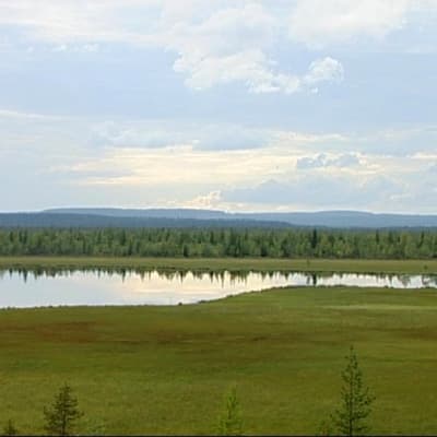 Kokonjärvi