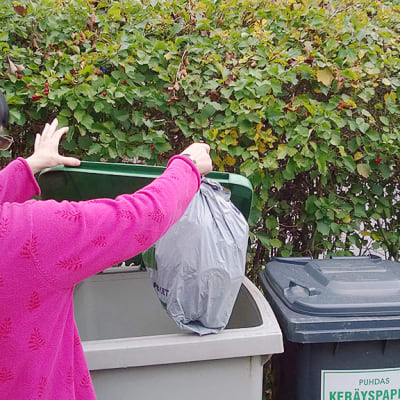 Kuvassa nainen nostaa roskapussia laatikkoon.  taustalla pensasaita