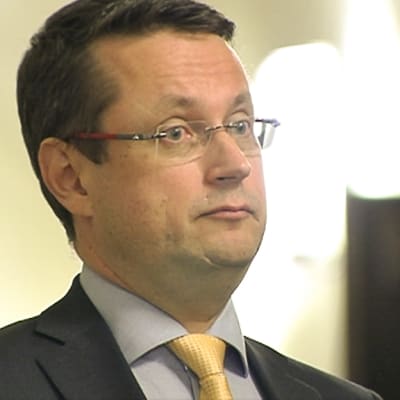 Työryhmän varapuheenjohtaja, kansanedustaja Mika Kari.