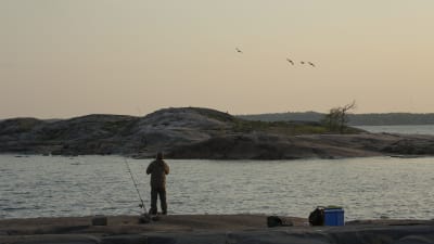 Friluftsområdet Kopparnäs-Störsvik. 