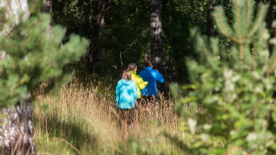 Tre barn på avstånd. De är på en äng och på väg in i en skog. De går med ryggen till. 