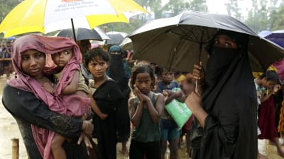 Rohingyaflyktingar i Bangladesh