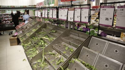 Grönsakshyllor gapar tomma i en butik i Wuhan efter att myndigheterna försatt staden i karantän.
