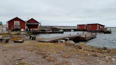 röda båthus vid en stenig hamn