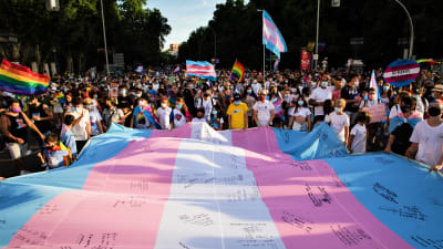 Personer som protesterar håller i en massiv transflagga.