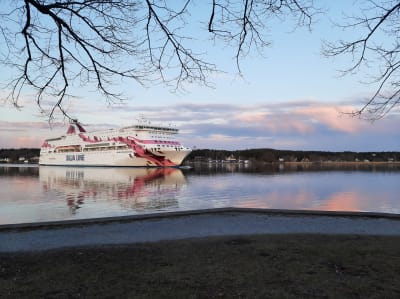 Silja Lines Baltic Princess, i sina vita, rosa och röda färger glider förbi Beckholmen i Åbo.  Trädgrenar utan löv hänger ner från ett träd på stranden där bilden tagits.