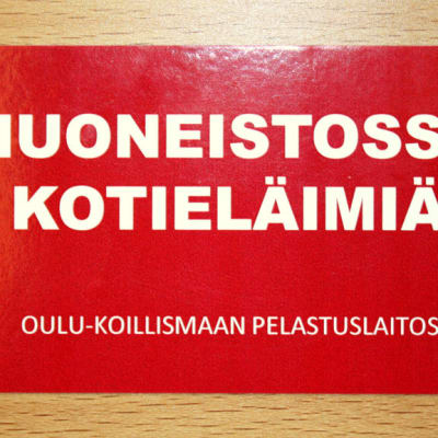 Huoneistossa kotieläimä-tarra