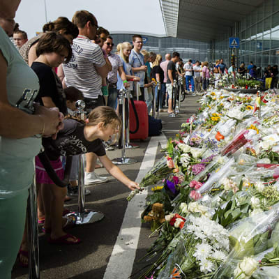 Amsterdamin Shcipholin lentokentälle tuotuja kukkia MH17-lennolla kuolleiden muistoksi. Kuva on otettu 27. heinäkuuta.
