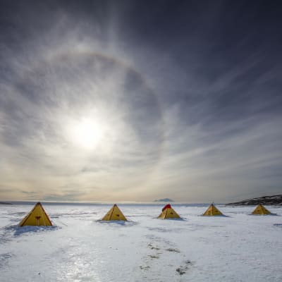 En låg sol över tält på isen i Antarktis. 