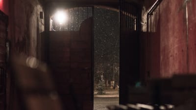 Öppen dörr i motljus med snöfall utanför