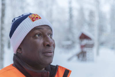 Lamin utomhus i ett vintrigt landskap.