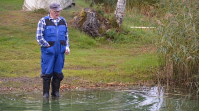 En äldre man i blå arbetsställ står med gummistövlar på sig en liten bit ut i vattnet.