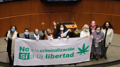 "Nej till kriminalisering, ja till frihet".Senatorer firar lagen som ska tillåta marihuana. 19.11.2020
