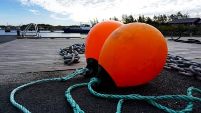 Fiskeutrustning på en brygga.