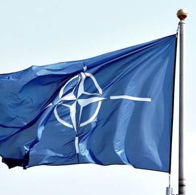 Natoflagga
