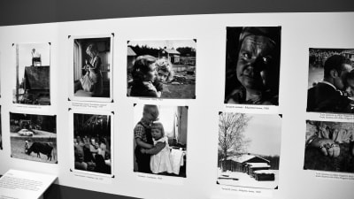 Fotografier på utställning.