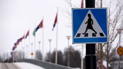 Trafikskylt vid övergångsställe i Umeå med samiska flaggor i bakgrunden