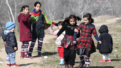 Syriska flyktingbarn i ingenmanslandet vid gränsen mellan Grekland och Turkiet. 