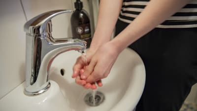 Käsiä pestään
