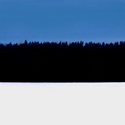Virolainen maisema, inspiraationa viron lippu.