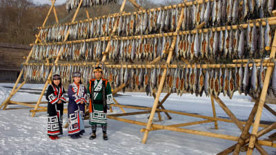 Medlemmar av Ainufolket står i traditionella kläder och torkar fisk.