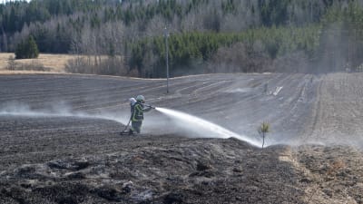 Brandmän släcker gräsbrand på åker
