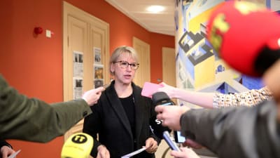 SVeriges utrikesminister Margot Wallström säger att samtalen med nordkoreanerna har varit "goda och konstruktiva