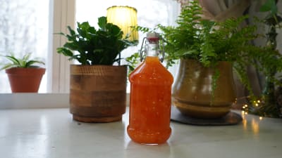 Sötsur chilisås på flaska på en arbetsbänk bredvid gröna växter.
