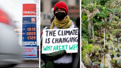 Collage med tre bilder. Till vänster en bil som kör förbi en bilstation, i mitten en klimataktivist som protesterar och håller i en skylt där det står "The climate is changing, why aren't we?" och till höger avskogning.