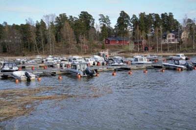 Motorbåtar förankrade vid en båthamn med flera bryggor. 