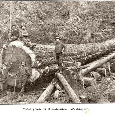 Amerikansuomalaisia metsätyömiehiä Aberdeenissa, Washingtonissa n. 1904