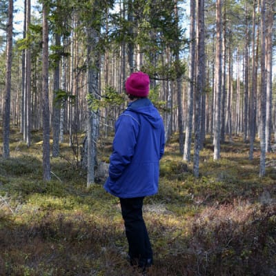 Kuvassa Kirsti Taipale-Koukkula metsässä.