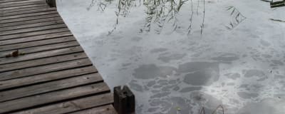 Brännolja i havsvatten.