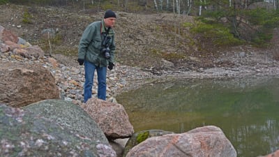 Magnus Östman letar efter grodor