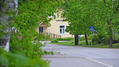 Hus bakom gröna kvistar