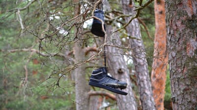 skor i träd