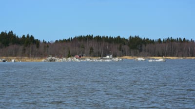 Skarven har intagit stenarna i Messviken i Vasa. Bilden tagen från Myrgrundsbron.