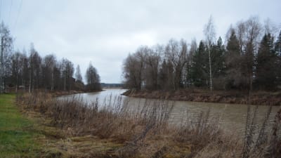 Liljendals å