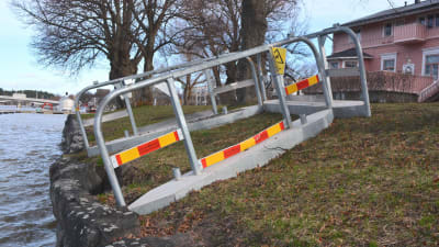 hotande strandmursras vid borgå å