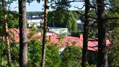Från Kvarnåsen kan man se ut över Lovisas tak.