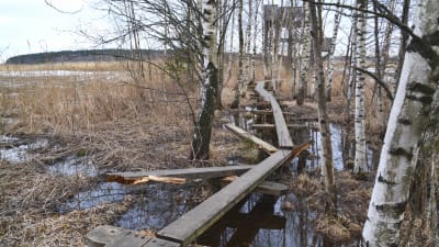 Saboterad naturstig vid fågeltornet i Ruskis i Borgå 2017
