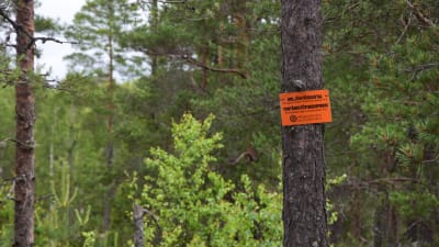 Bild på träd och en skylt där det står "miljöstödsavtal"
