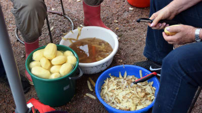 Några mänskor sitter och skalar potatis. På marken syns två handfat med potatisskal och ett ämbar med färdigskalad potatis.