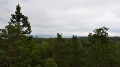 Utsikt från Senatsberget i Dalsbruk.