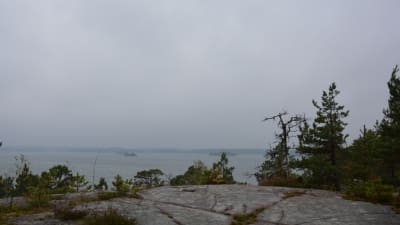 Falkofjärden i dimma.