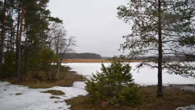 Långvasstranden i Kopparnäs Ingå.