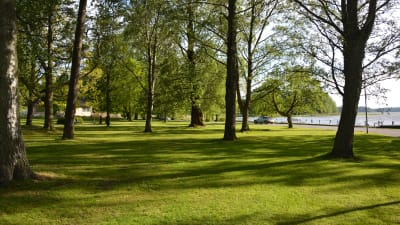 Skepparträdgården i Ekenäs.