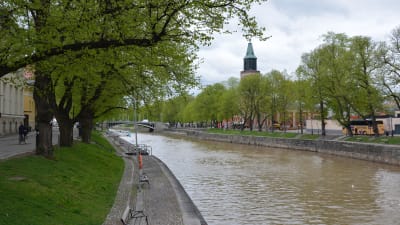 Aura å med Pinellan och Domkyrkan i bakgrunden.