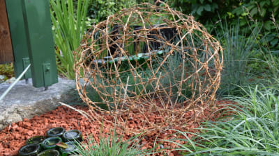 Ett klot av taggtråd i en gräsrabatt med tegelkross som marktäckning