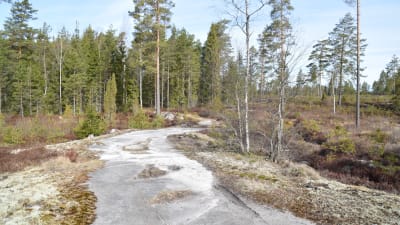 En vandringsled i Västerby friluftsomårde som går över ett berg.